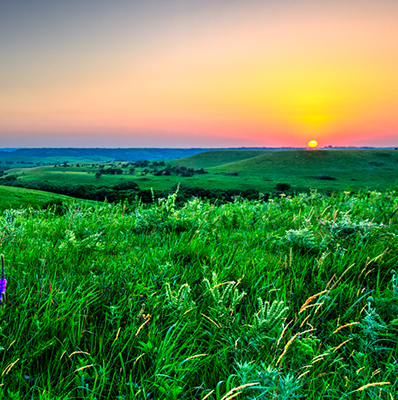 sunset on green field