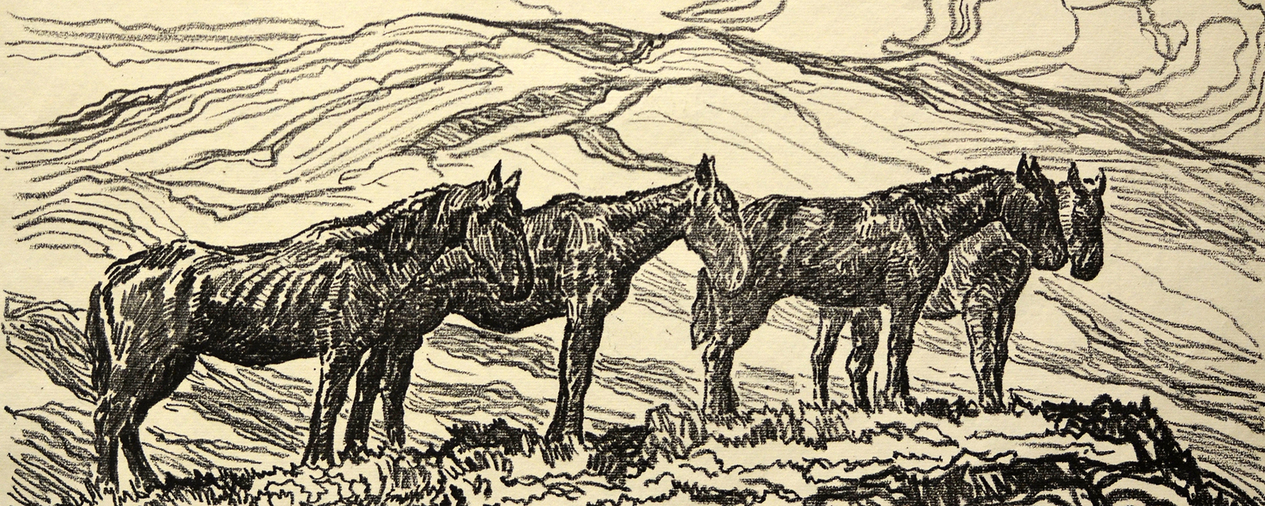 Sandzén drawing of horses