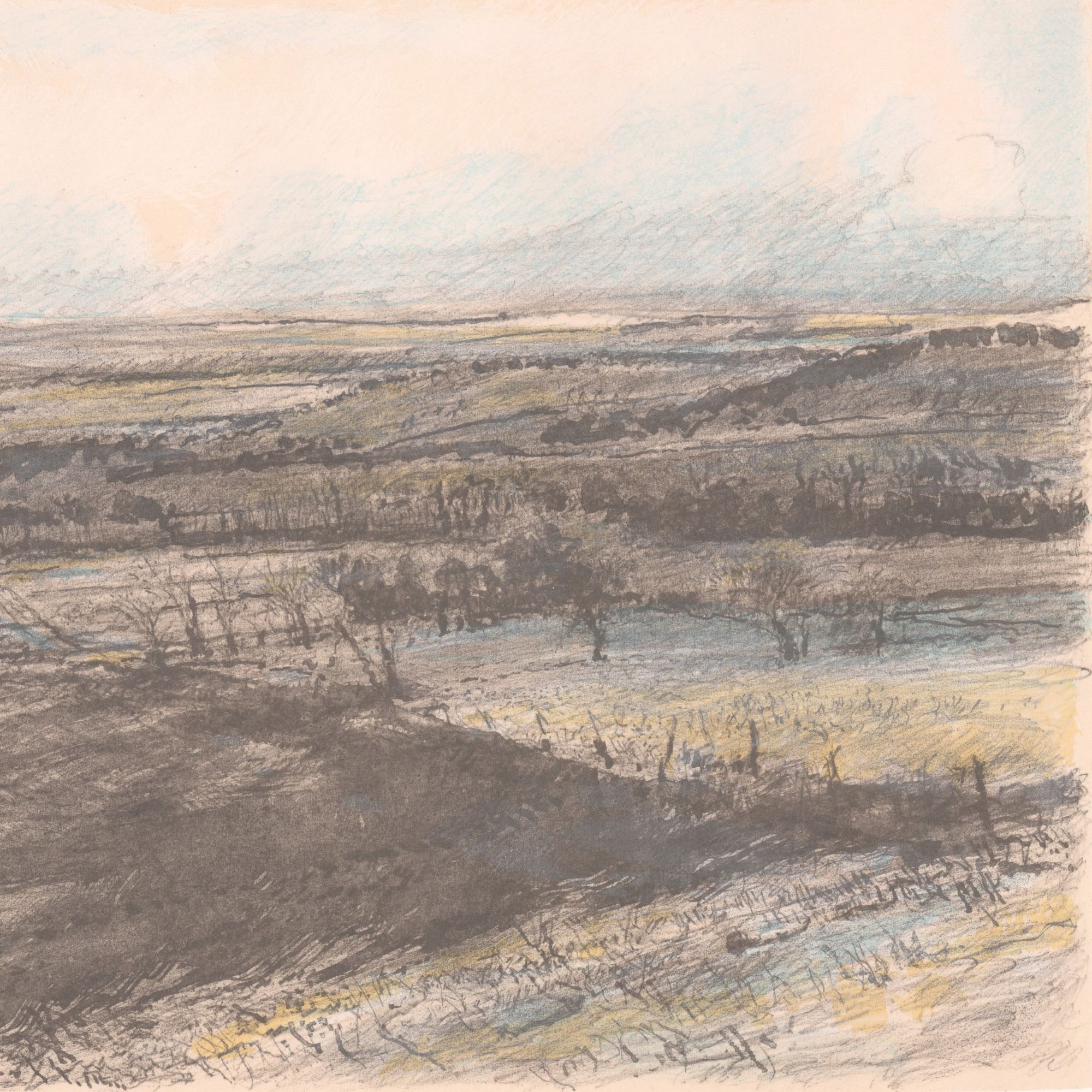 long view