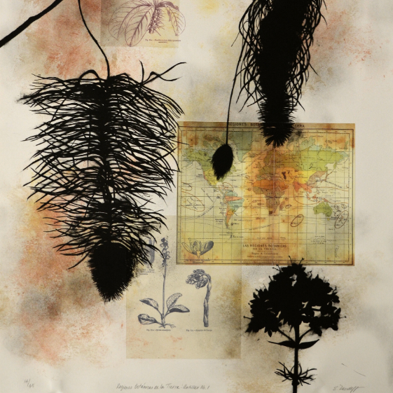 susan davidoff